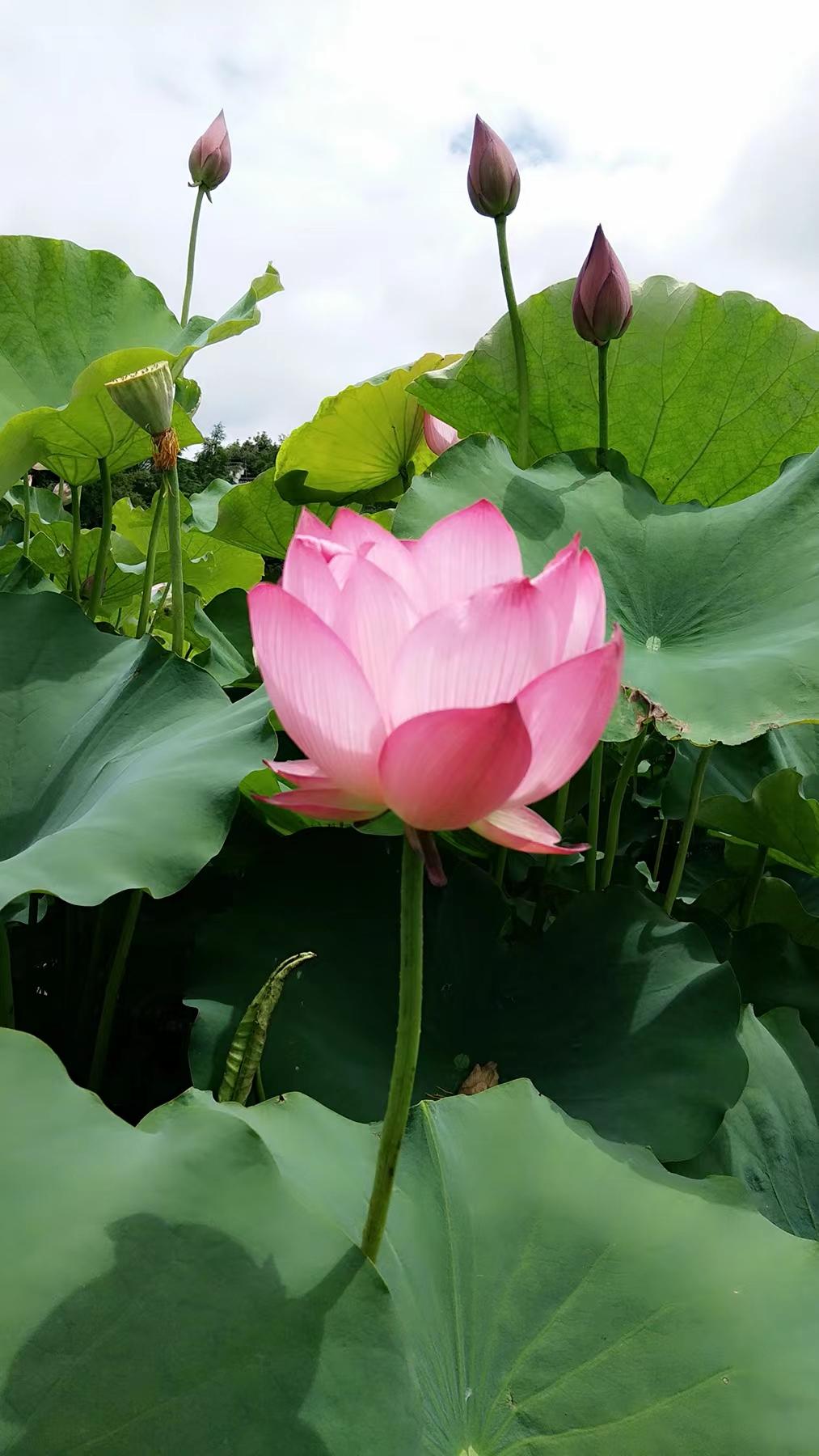 http://m.coolstreaming.com.cn/hsdt/221.html